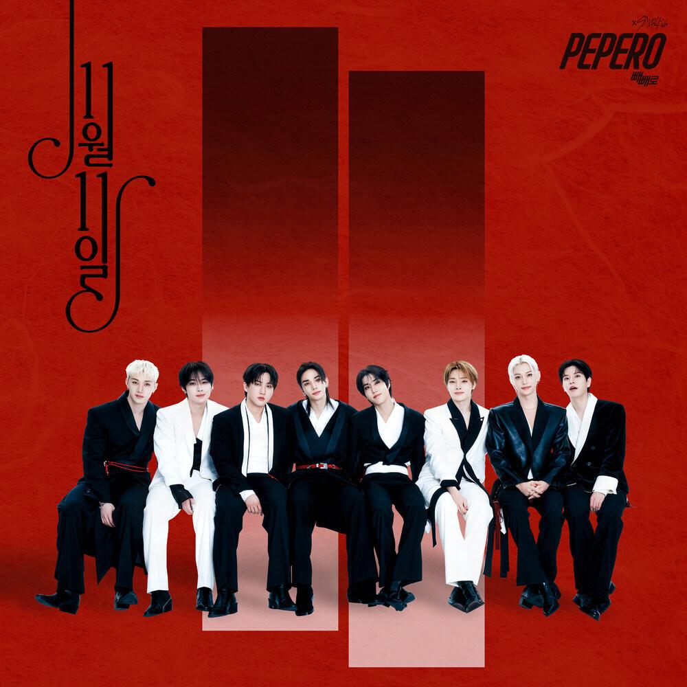11월 11일